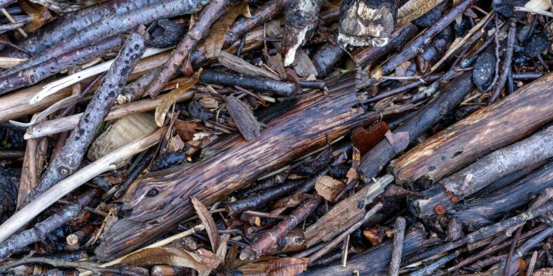 Holzreste aus Industrie, Sägewerken oder Kommunen – ideal für CO₂-neutrale Biokohle.